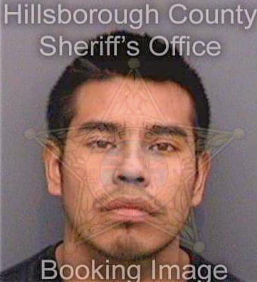 Martinezhernandez Rodrigo - Hillsborough County, FL 