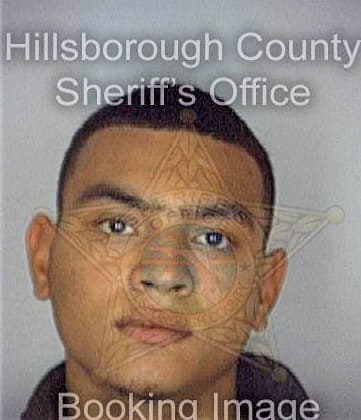 Ortiz Roberto - Hillsborough County, FL 