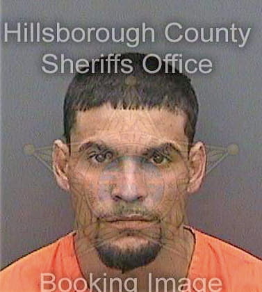 Galdogonzalez Jesus - Hillsborough County, FL 