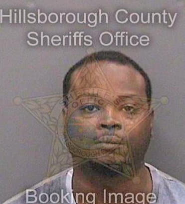 Watkins Ernest - Hillsborough County, FL 