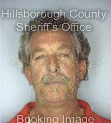 Dennis David - Hillsborough County, FL 