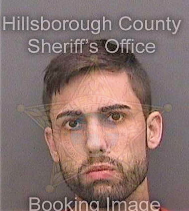 Perez Brandon - Hillsborough County, FL 