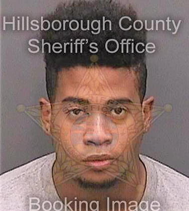 Mcmillon Elarge - Hillsborough County, FL 