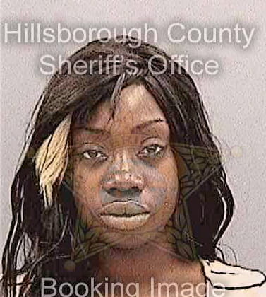 Guerrier Madiane - Hillsborough County, FL 