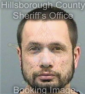 Mcgovern Daniel - Hillsborough County, FL 