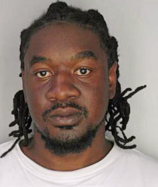 Mcdonald Lionel - Hillsborough County, FL 