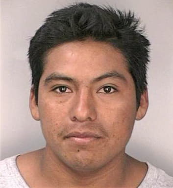 Mendez Salvador - Hillsborough County, FL 