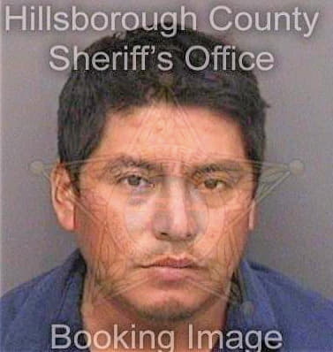 Hernandezbautista Jose - Hillsborough County, FL 