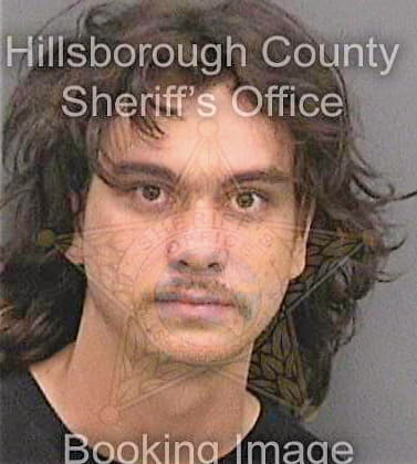 Weinstein Benjamin - Hillsborough County, FL 