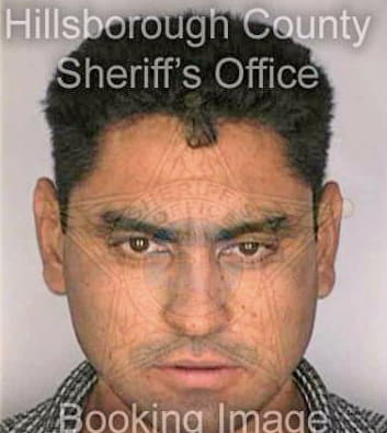 Pesinamartin Gererdo - Hillsborough County, FL 