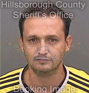 Gonzalezhernandez Hugo - Hillsborough County, FL 