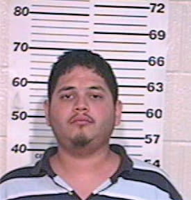 Aleman Roberto - Hidalgo County, TX 