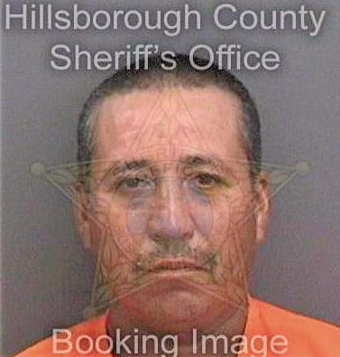 Delgadopalmer Magdaleno - Hillsborough County, FL 