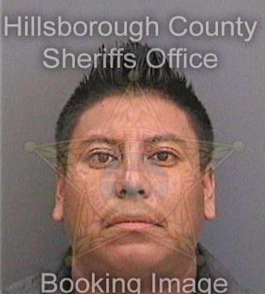 Esteban-Feliciano Arnulfo - Hillsborough County, FL 