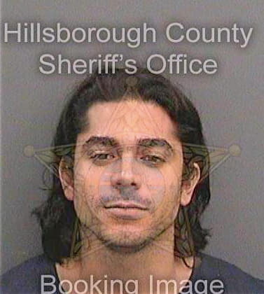 Dan Kristian - Hillsborough County, FL 