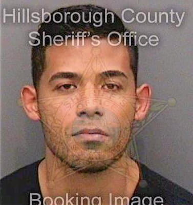 Melendez William - Hillsborough County, FL 