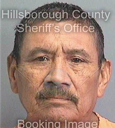 Mendozadelacruz Pedro - Hillsborough County, FL 