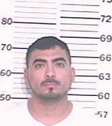 Gonzalez Jason - Hidalgo County, TX 