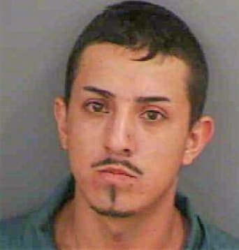 Andradegarcia Martin - Collier County, FL 