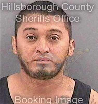 Bonillaizaguirre Milton - Hillsborough County, FL 