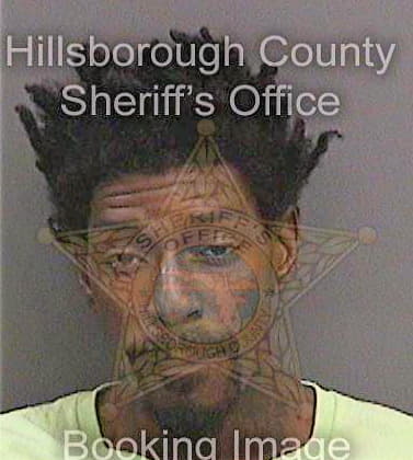 Scriven Devin - Hillsborough County, FL 