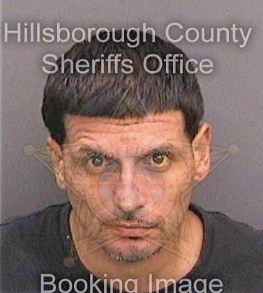 Vasquez Luis - Hillsborough County, FL 