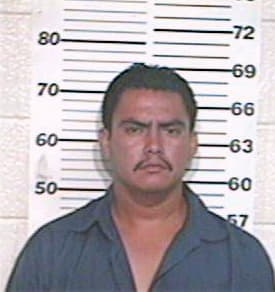 Briseno Jose - Hidalgo County, TX 