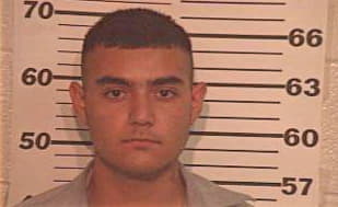 Silva Robert - Hidalgo County, TX 