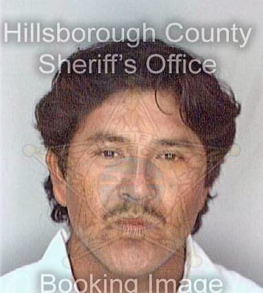 Lopez Valentin - Hillsborough County, FL 