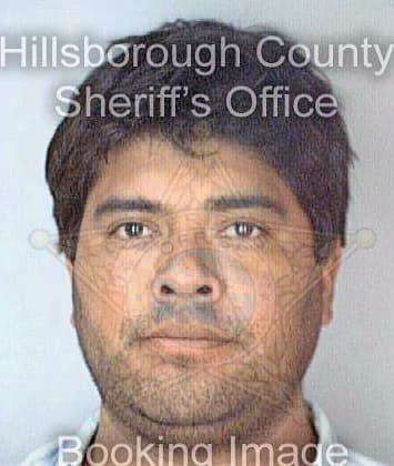 Chavez Jose - Hillsborough County, FL 