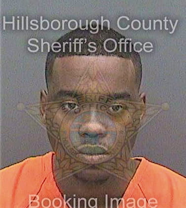 Boykins Traevonte - Hillsborough County, FL 