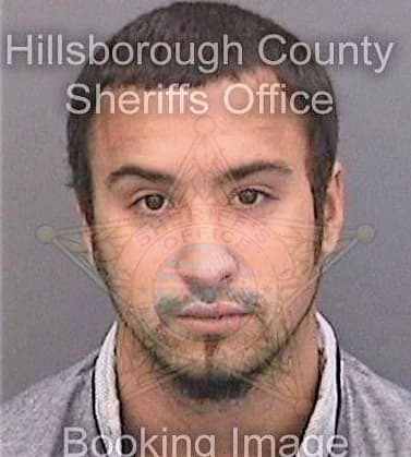 Freyre Avram - Hillsborough County, FL 