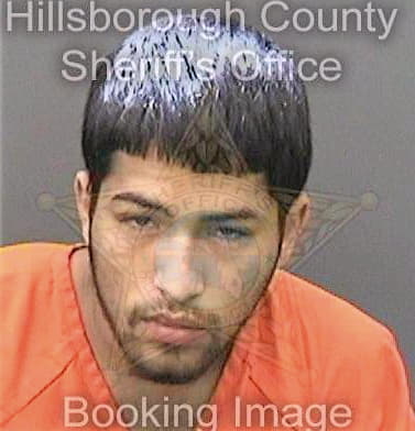 Martinezmaldonado Jaser - Hillsborough County, FL 