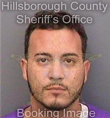 Torres Carlos - Hillsborough County, FL 