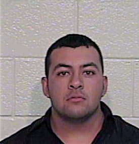 Garcia Guillermo - Hidalgo County, TX 