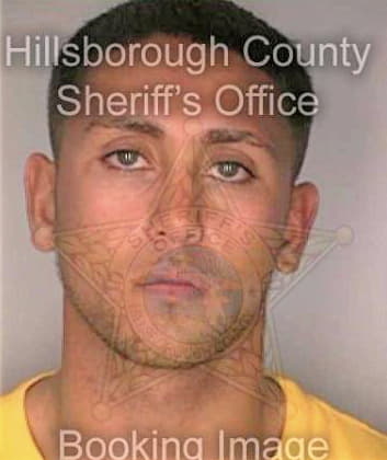 Cardona Nestor - Hillsborough County, FL 