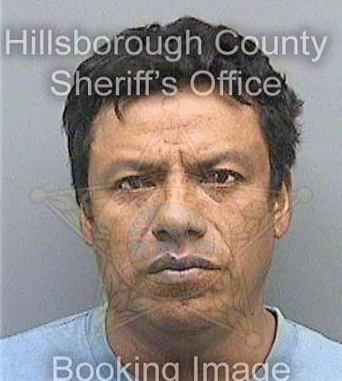 Martinez Cecelio - Hillsborough County, FL 