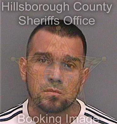 Gonzalez Jorge - Hillsborough County, FL 