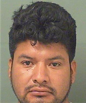 Perezvazquez Luis - PalmBeach County, FL 