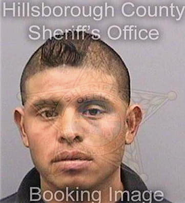 Velascohernandez Obed - Hillsborough County, FL 