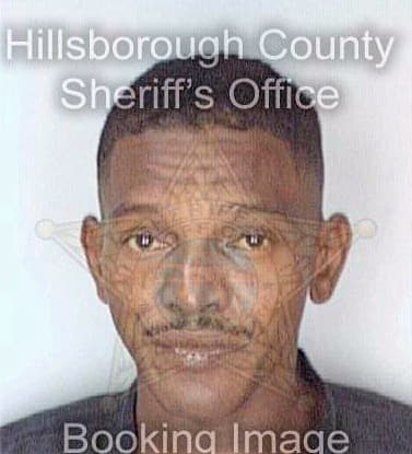 Ramos Nelson - Hillsborough County, FL 