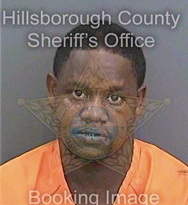 Bostick Tony - Hillsborough County, FL 