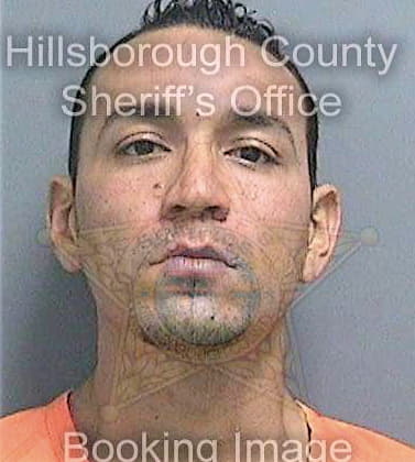 Reyesbustamante Julio - Hillsborough County, FL 