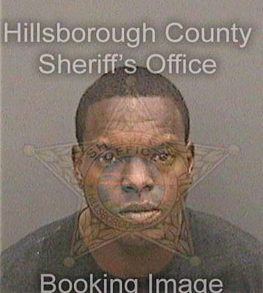 Hamilton Calvin - Hillsborough County, FL 