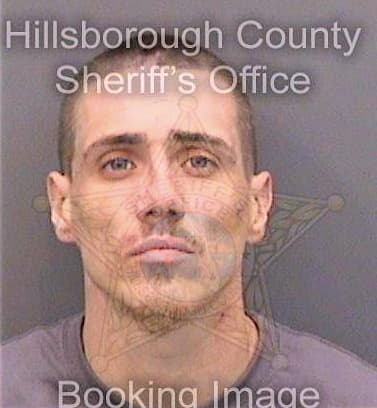 Sullivan Carlos - Hillsborough County, FL 