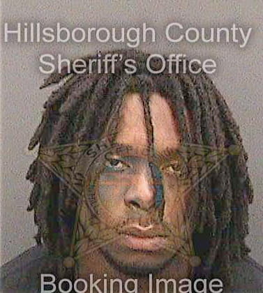 George Dameon - Hillsborough County, FL 