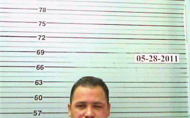 Pineda Delmin - Harrison County, MS 