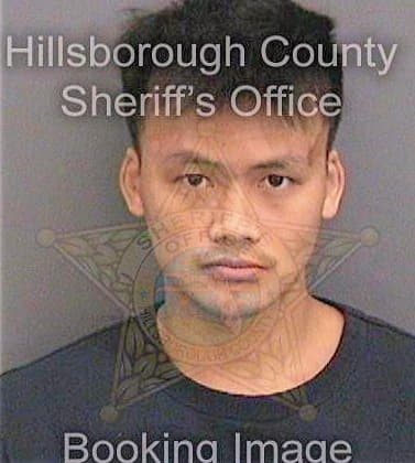 Nguyen Khoi - Hillsborough County, FL 