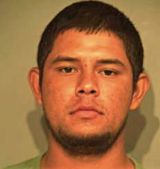 Gonzalez Hector - Hidalgo County, TX 