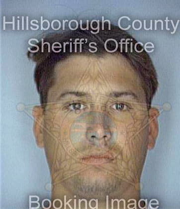 Law Michael - Hillsborough County, FL 